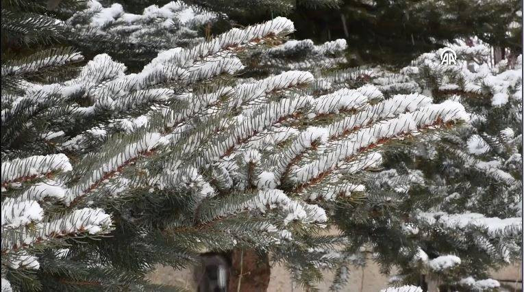 Sarıkamış beyaza büründü - Resim: 10